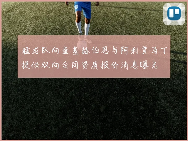 猛龙队向查基赫伯恩与阿利贾马丁提供双向合同资质报价消息曝光