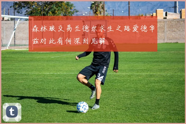 森林狼交易兰德尔求生之路爱德华兹对此有何深刻见解